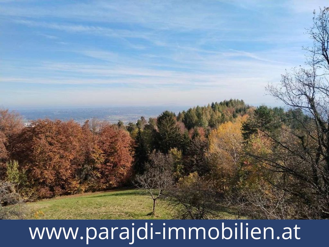 austria-homes-bad gams-8524-20251010221757-0032401025.jpg austria-homes-bad gams-8524-20251010221757-0032401025.jpg